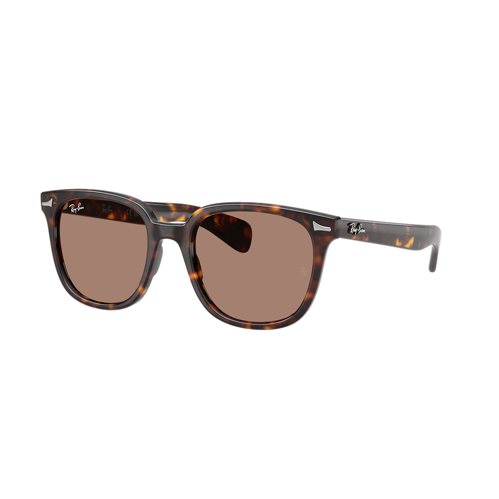 Ray-Ban sunglasses Brunel II RB2235 col. 902/1A
