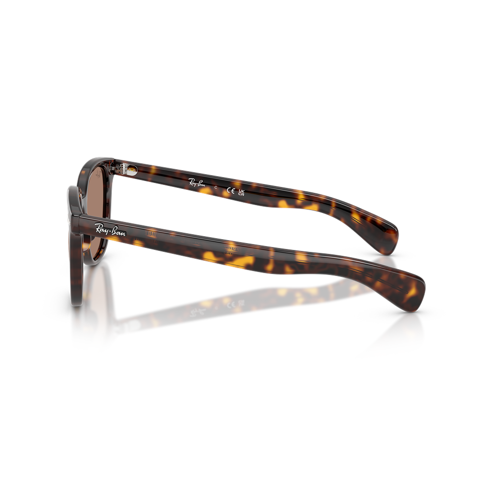 Ray-Ban sunglasses Brunel II RB2235 col. 902/1A