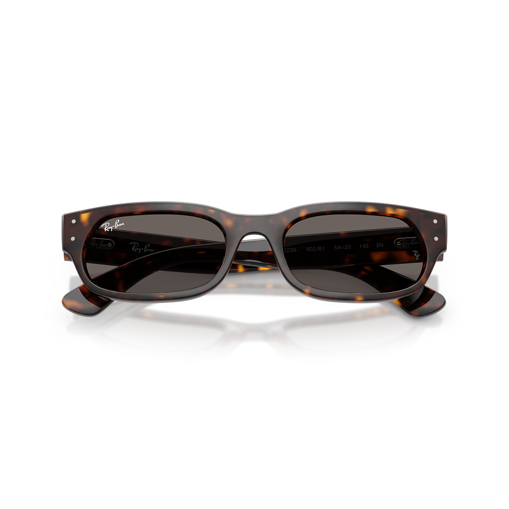 Occhiale da sole Ray-Ban RB2236 col. 902/B1