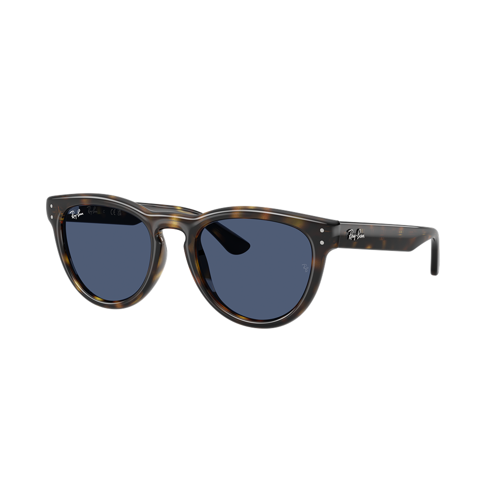 Occhiale da sole Ray-Ban RB2237 col. 710/80
