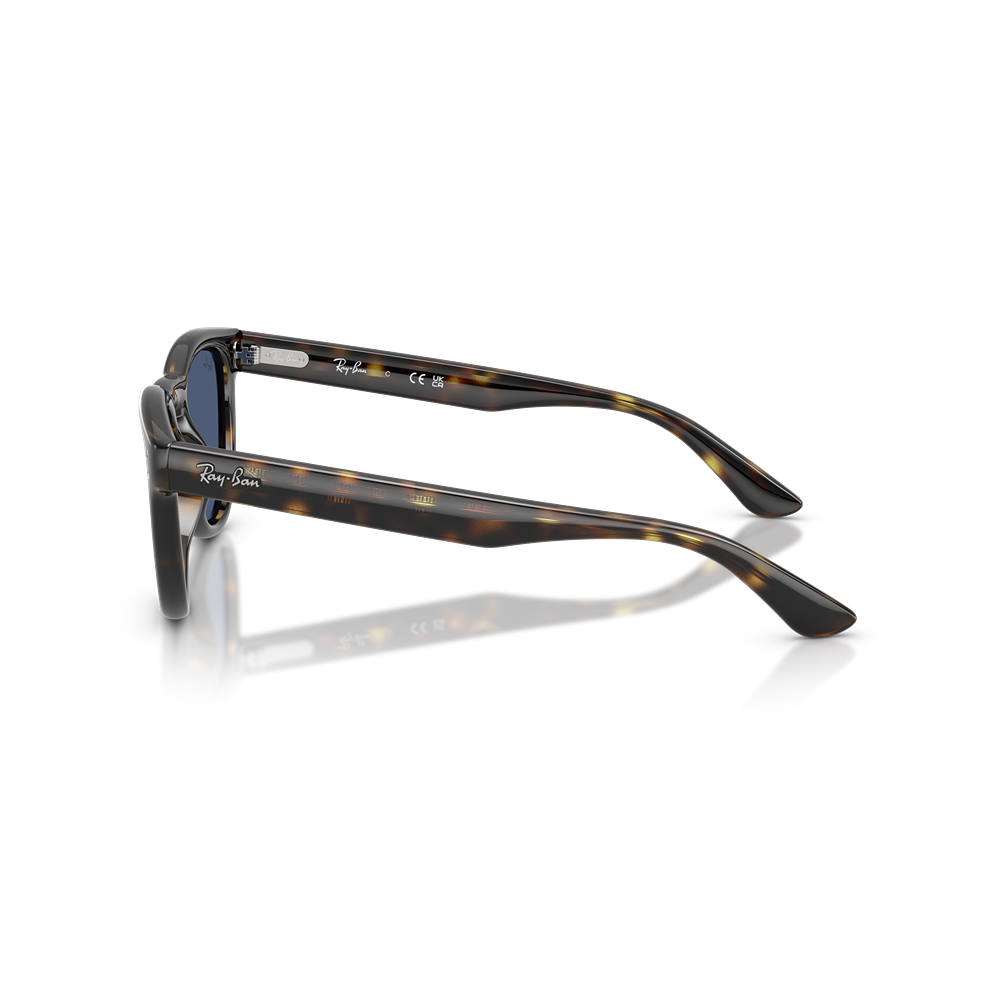 Occhiale da sole Ray-Ban RB2237 col. 710/80