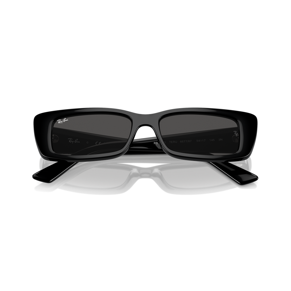 Ray-Ban sunglasses Teru RB4425 col. 667787