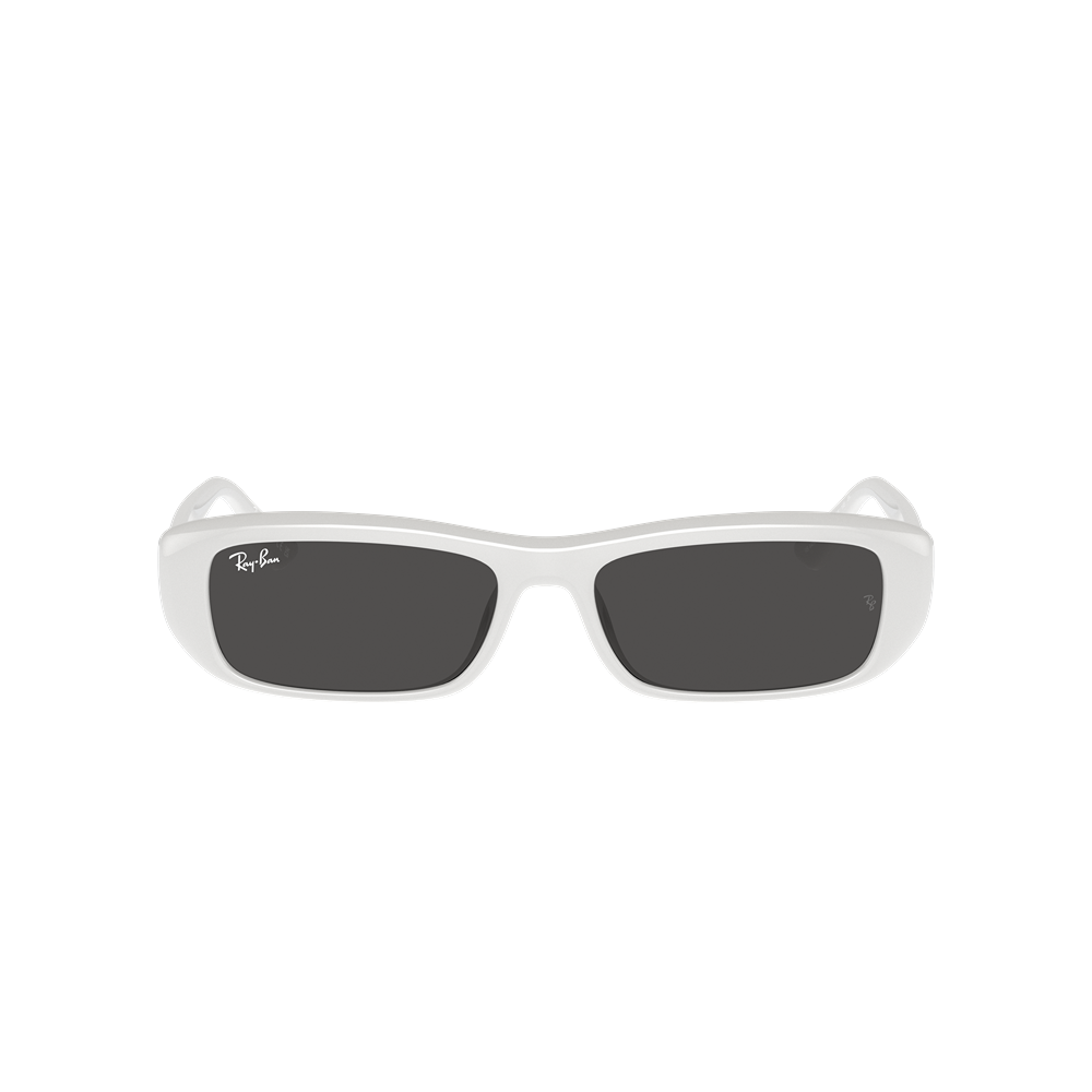 Occhiale da sole Ray-Ban RB4436D col. 677287
