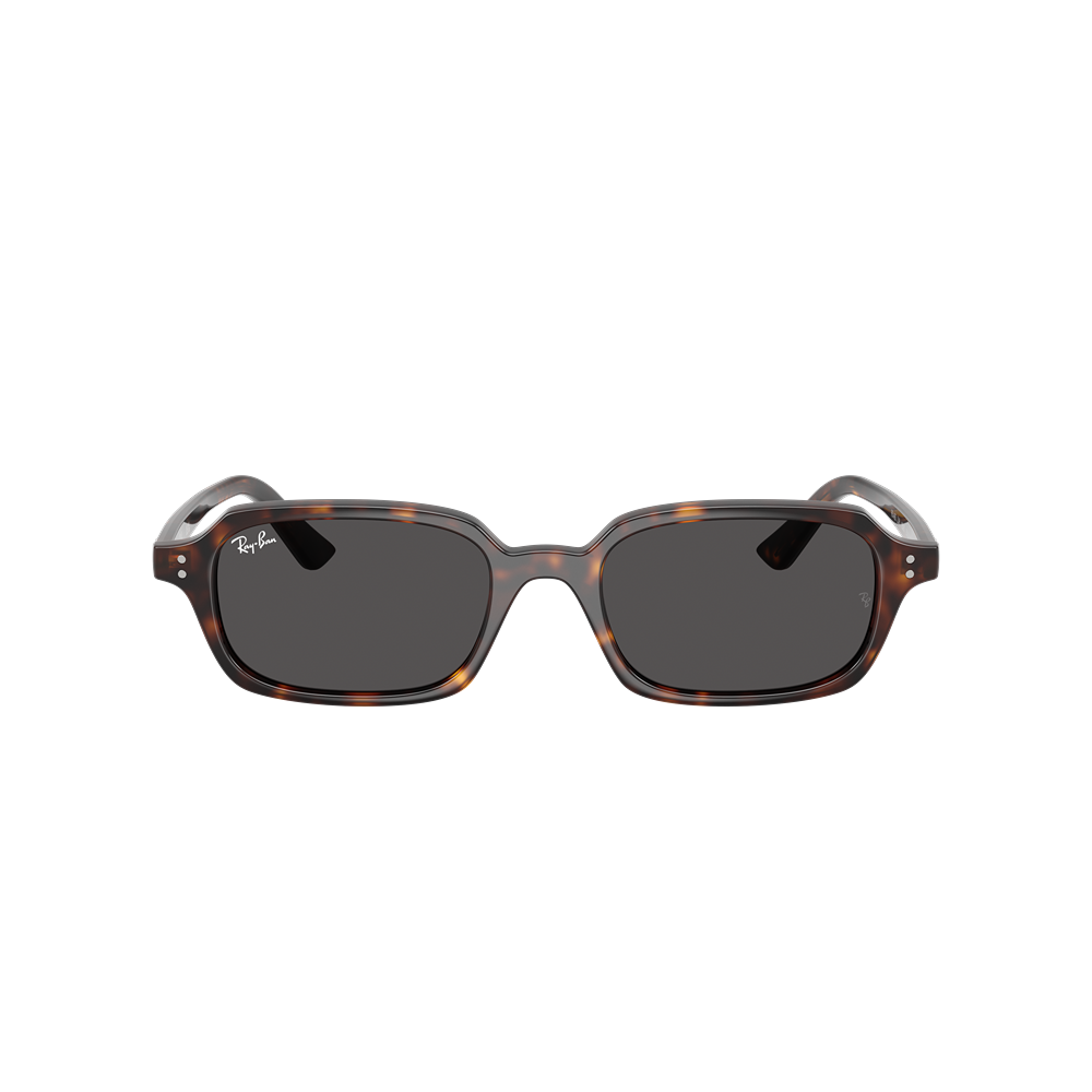 Occhiale da sole Ray-Ban Zuri RB4455 col. 135987