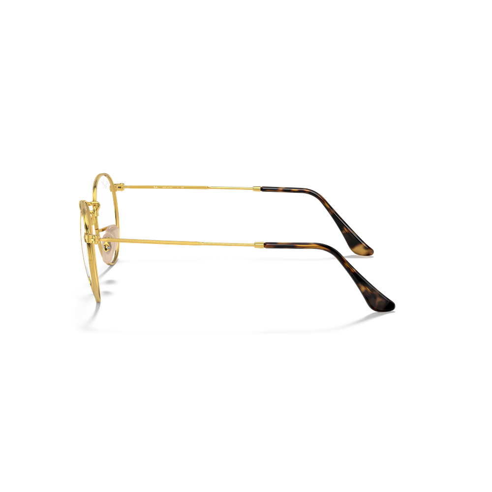 Ray-Ban eyewear Round Metal RX3447V col. 2500
