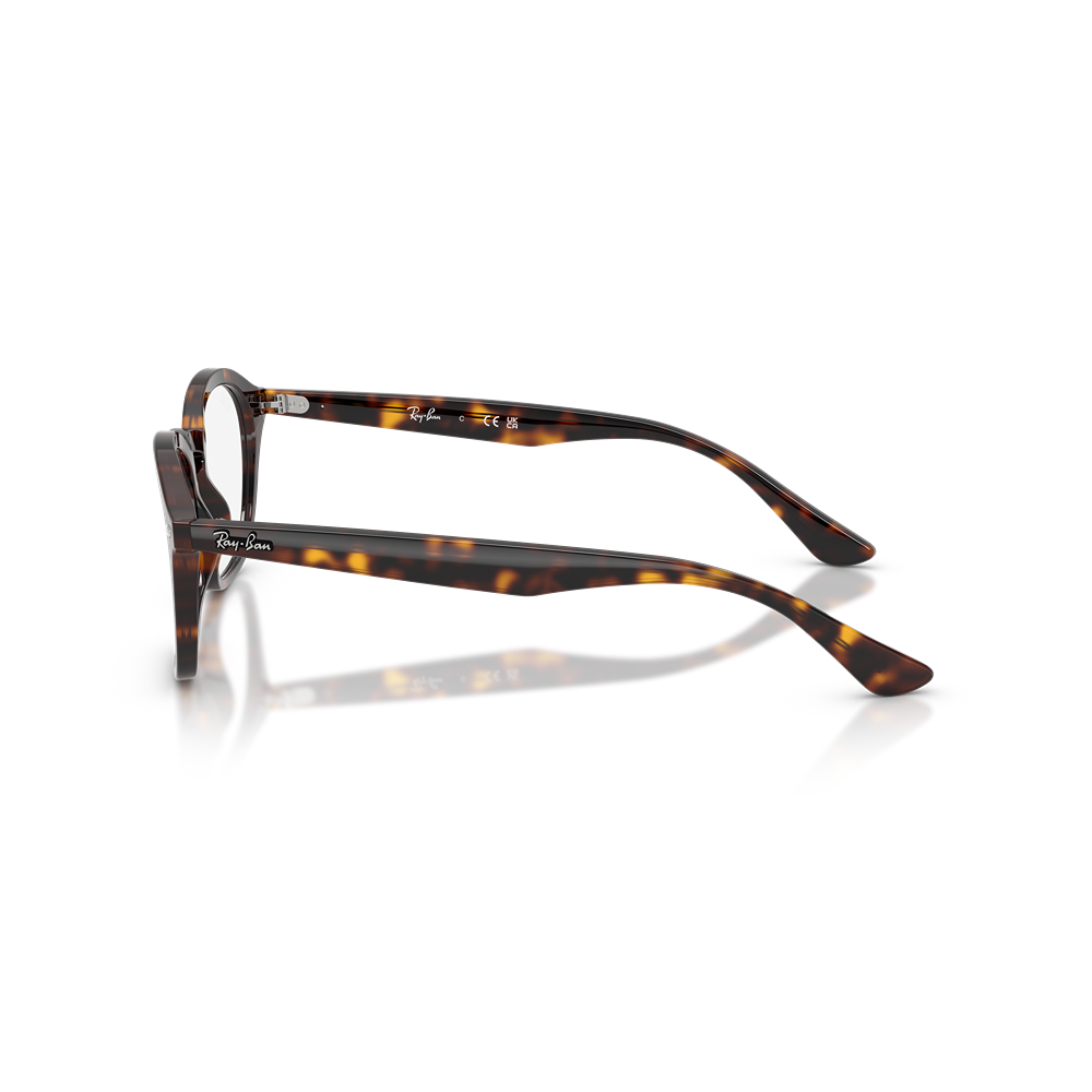 Ray-Ban eyewear RX5451 col. 2012