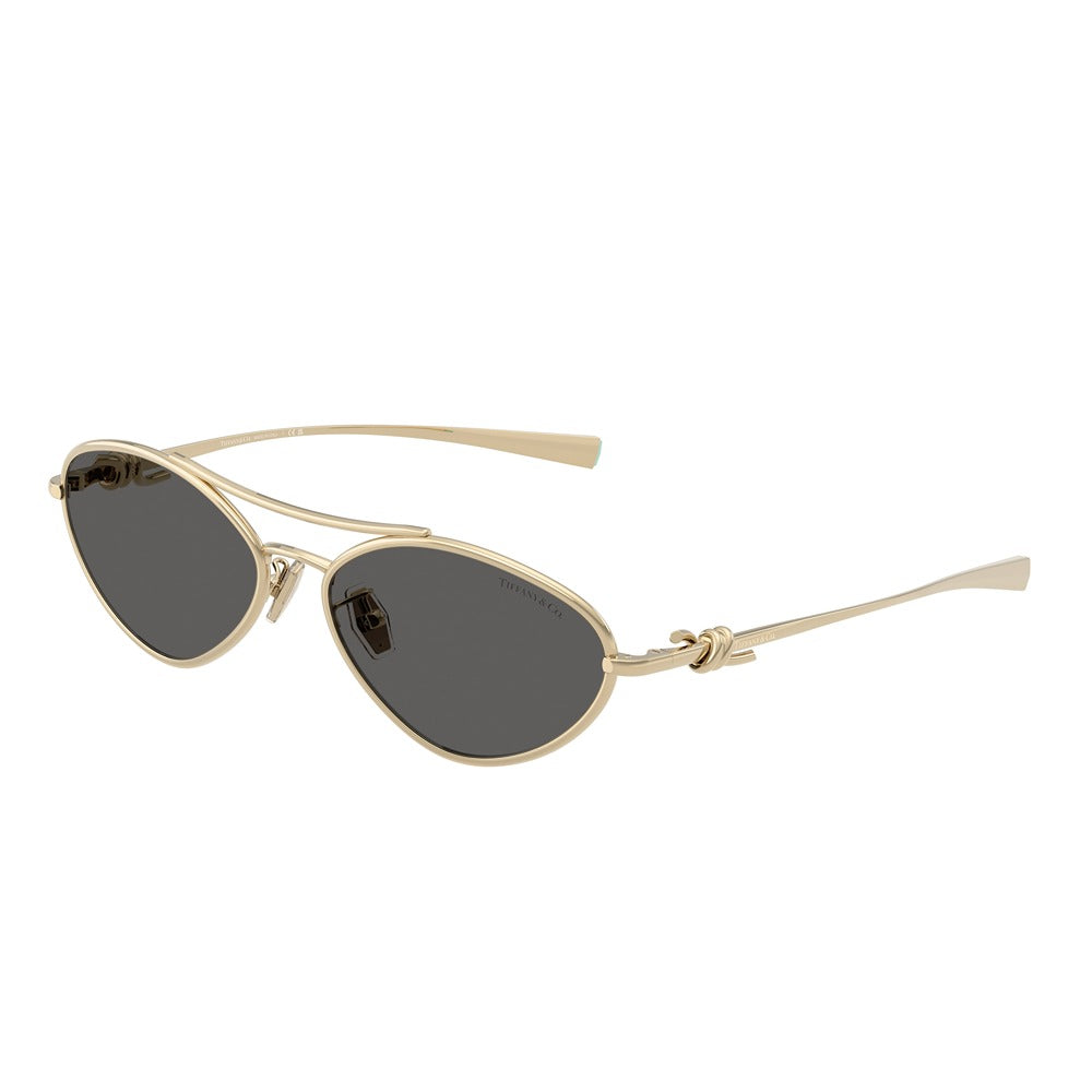 Tiffany & Co. sunglasses 3117 col. 6021S4