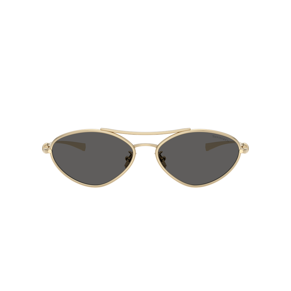 Tiffany & Co. sunglasses 3117 col. 6021S4