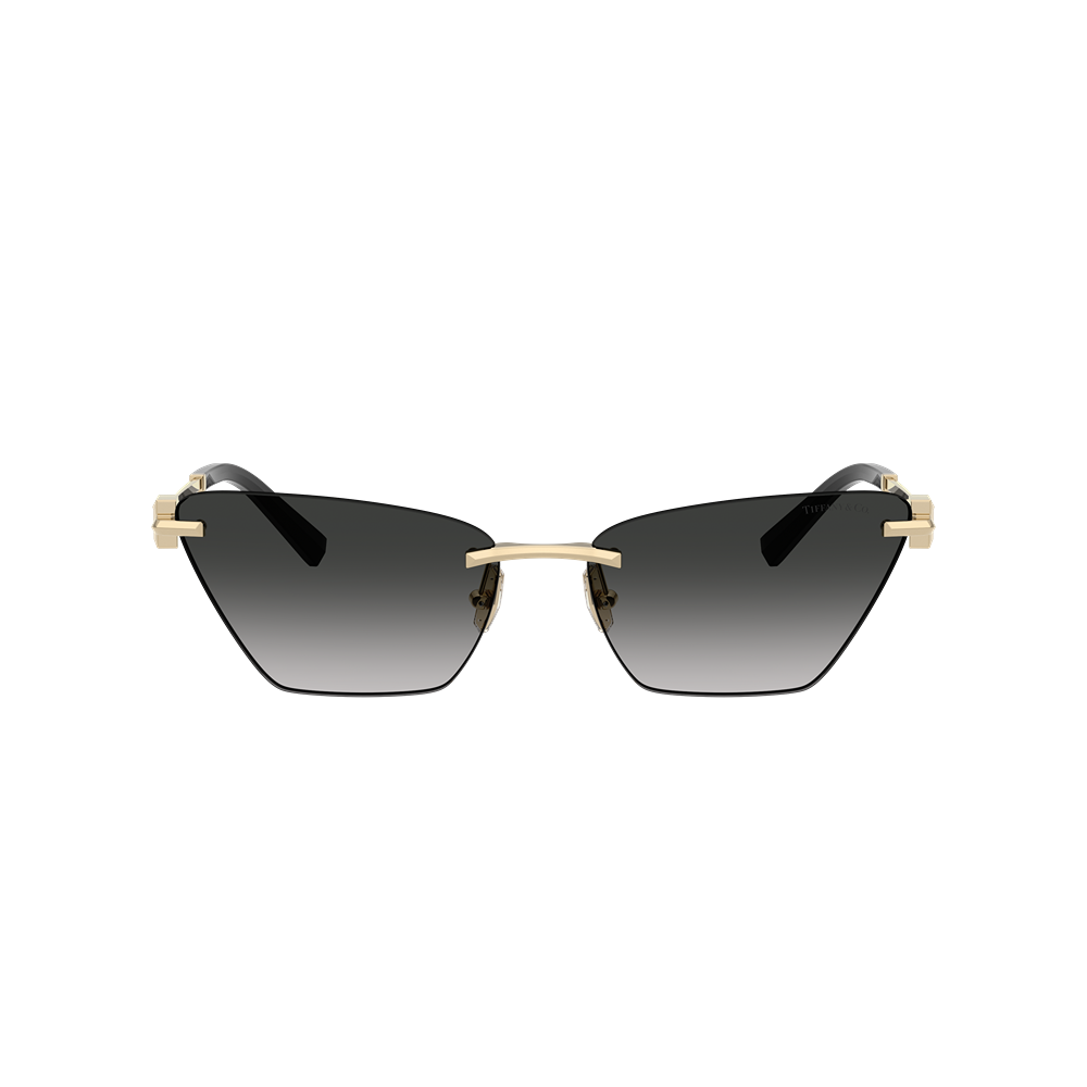 Tiffany & Co. sunglasses 3120 col. 62413C