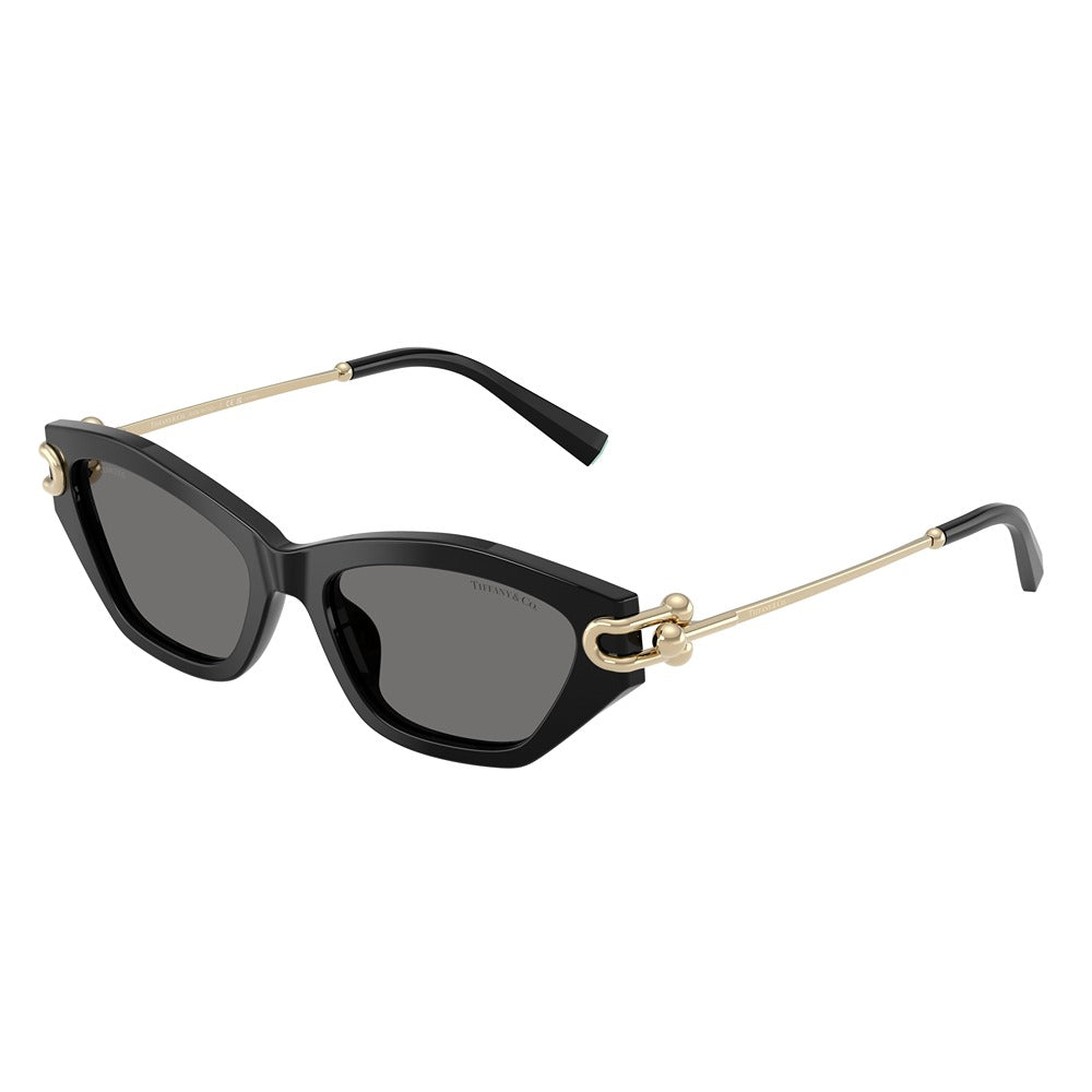 Tiffany & Co. sunglasses 4231U col. 800181