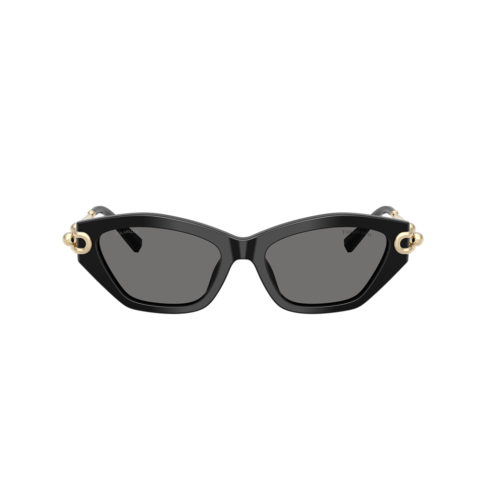 Tiffany & Co. sunglasses 4231U col. 800181