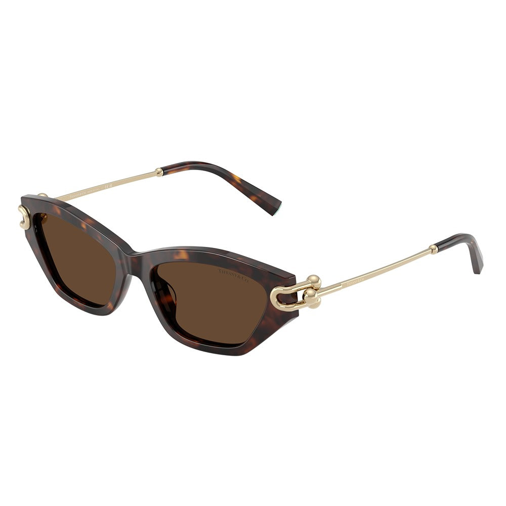 Occhiale da sole Tiffany & Co. 4231U col. 80153G