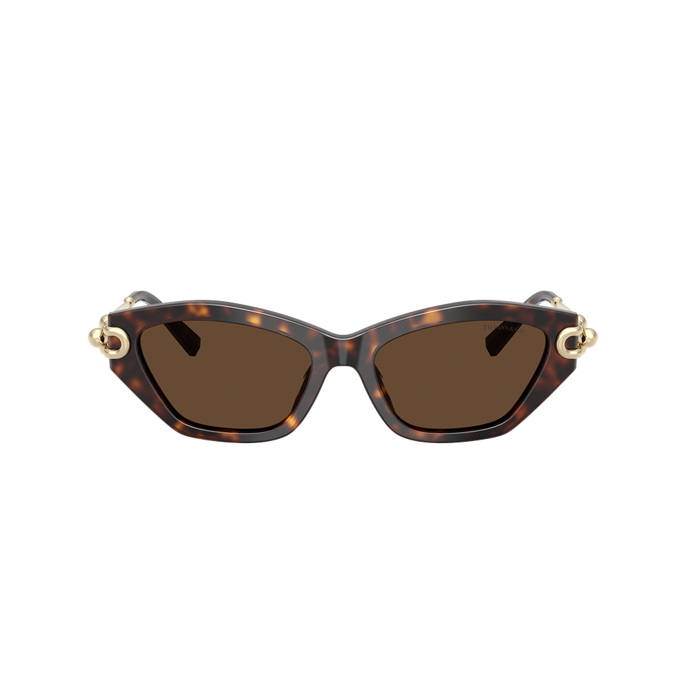 Occhiale da sole Tiffany & Co. 4231U col. 80153G