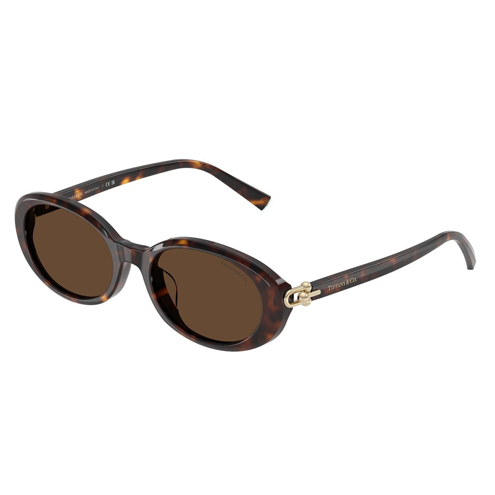 Tiffany & Co. sunglasses 4242D col. 80153G