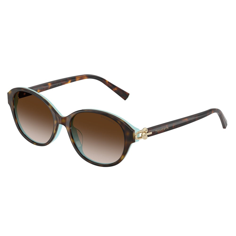 Tiffany & Co. sunglasses 4263D col. 81343B