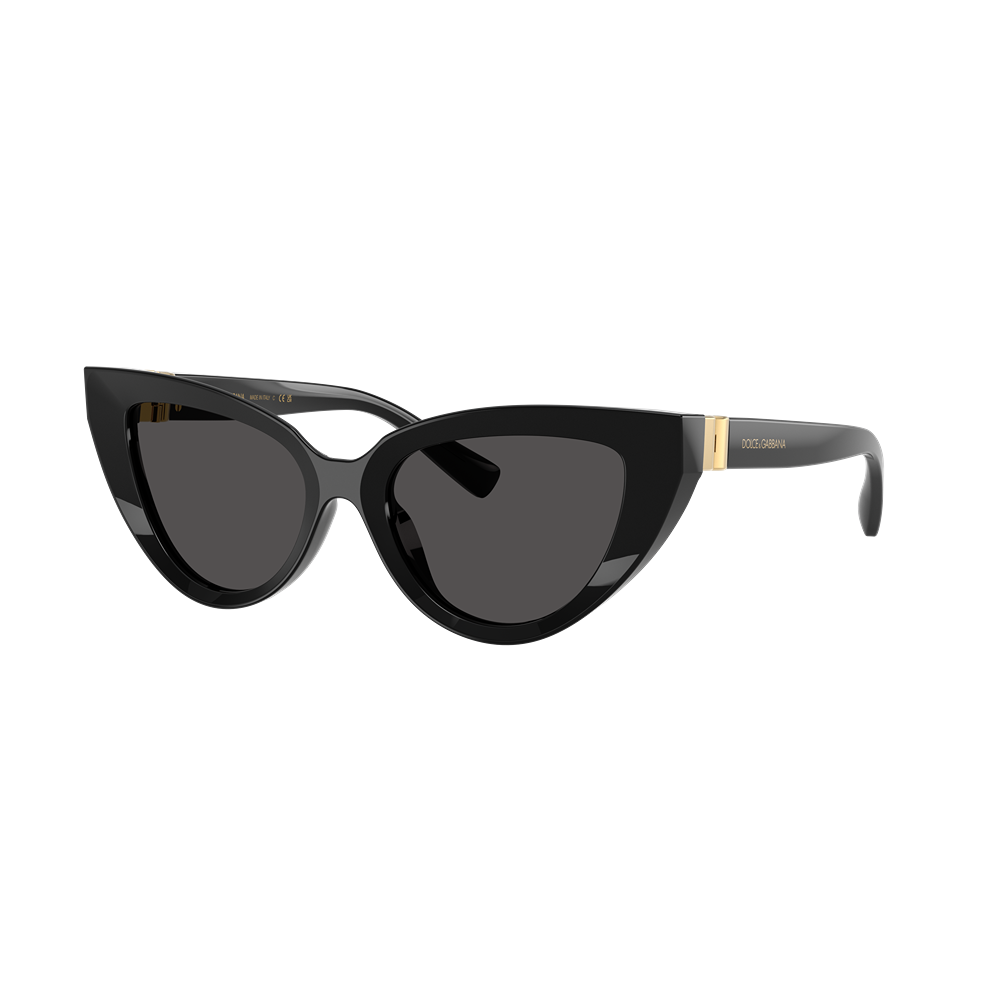 Occhiale da sole Dolce & Gabbana 4497 col. 501/87