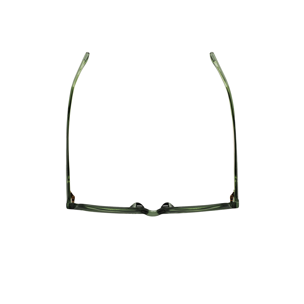 Kaleos HARWOOD sunglasses col. 004 Green