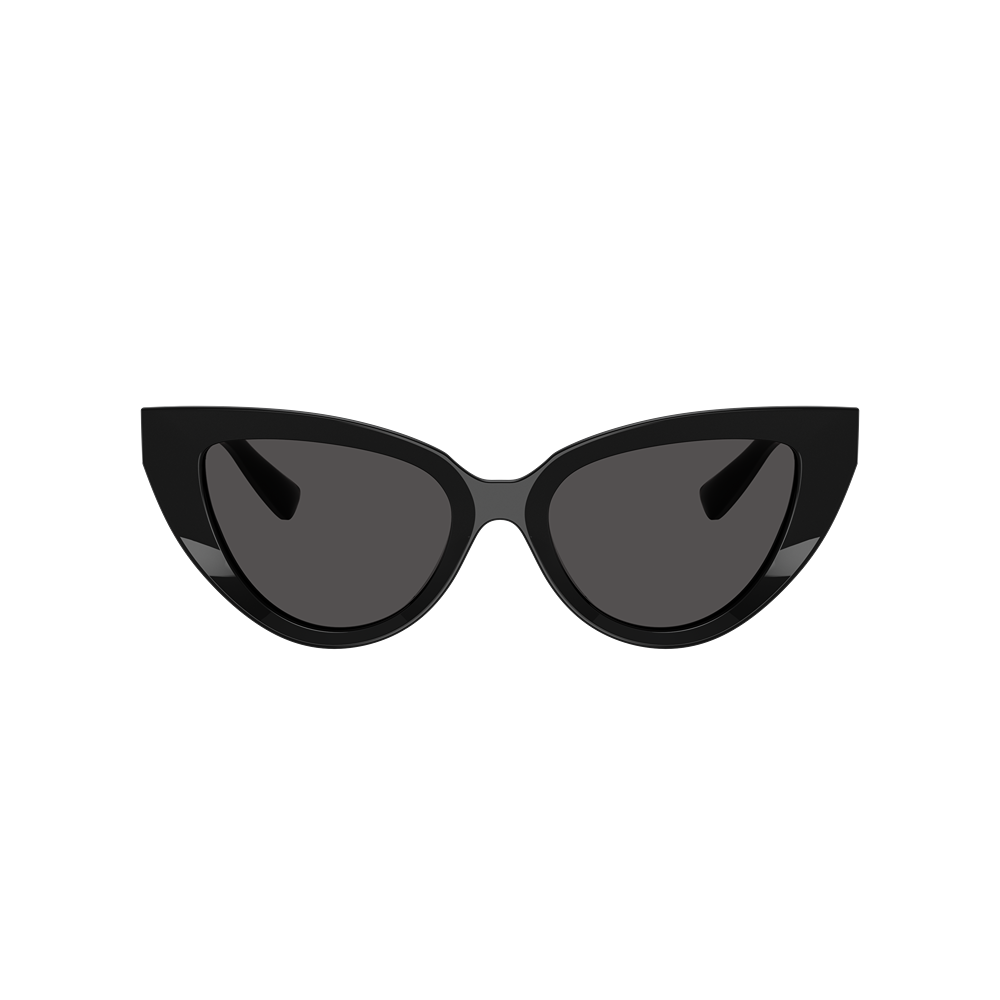 Occhiale da sole Dolce & Gabbana 4497 col. 501/87