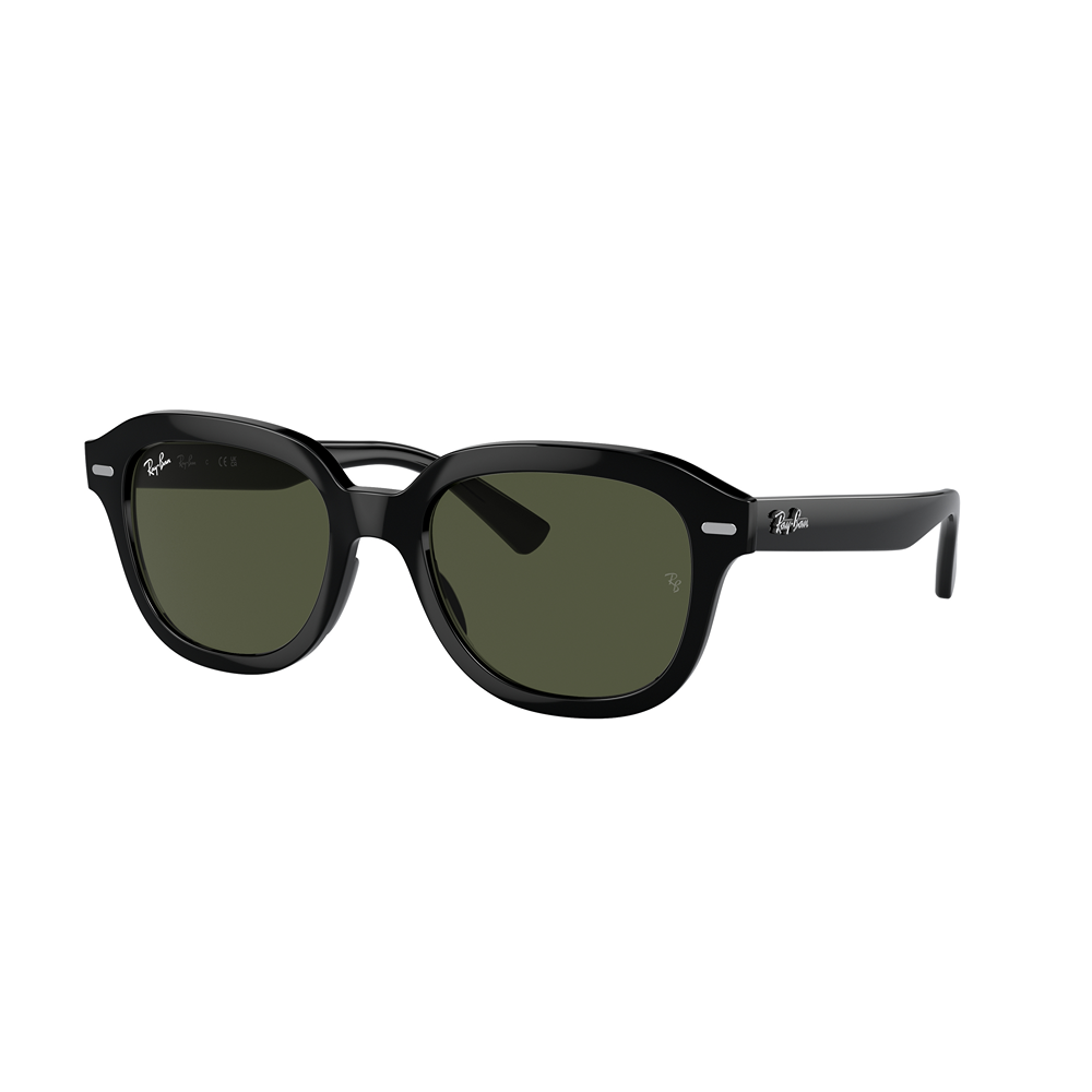 Occhiale da sole Ray-Ban Erik RB4398 col. 901/31 53