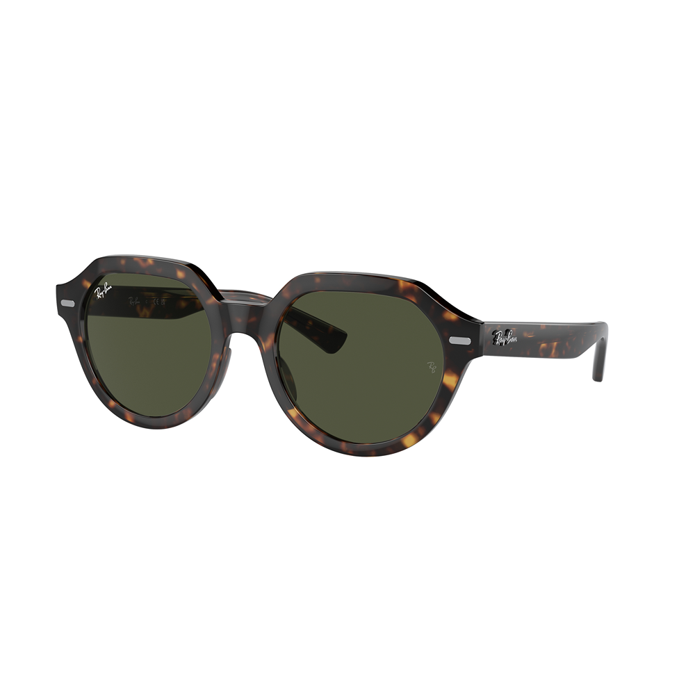 Occhiale da sole Ray-Ban Gina RB4399 col. 902/31