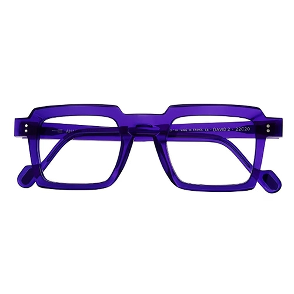 Anne & Valentin eyewear David 2 col. 22C20