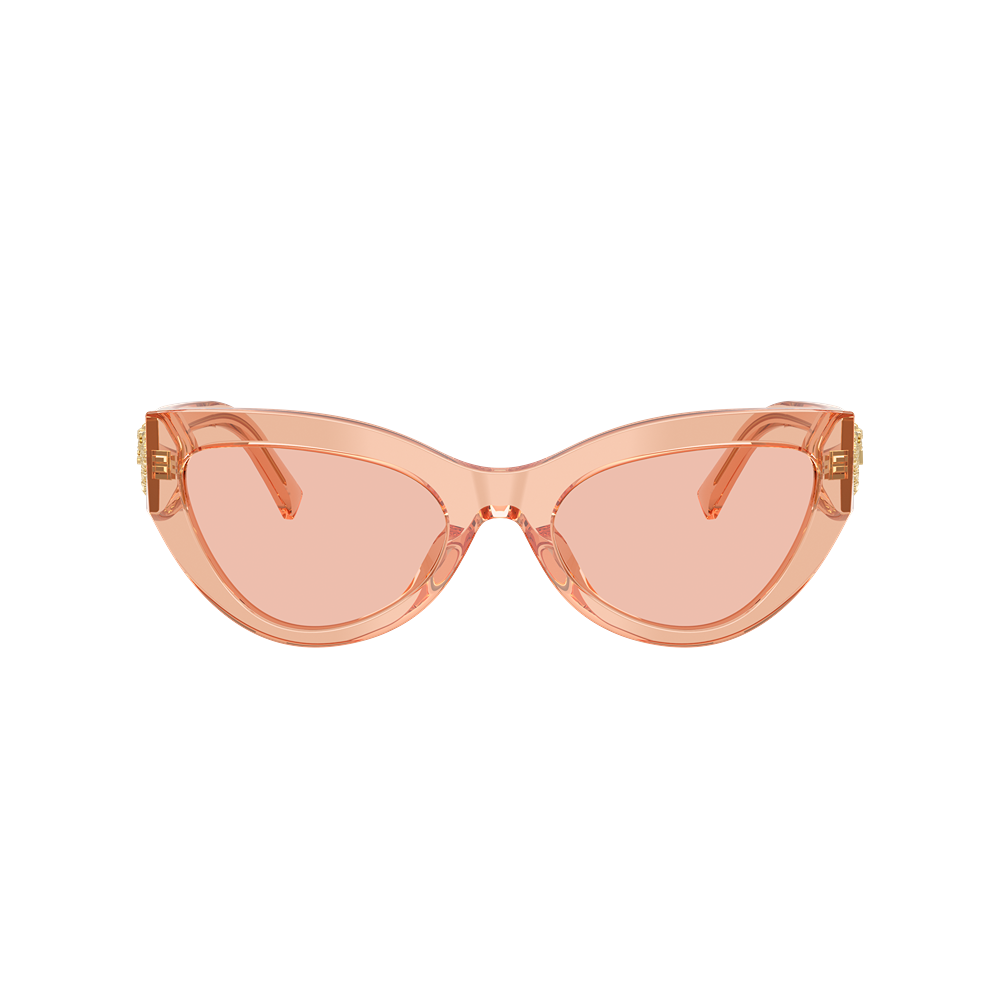 Occhiale da sole Dolce & Gabbana 4536 col. 322684