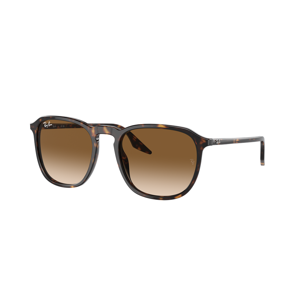 Occhiale da sole Ray-Ban RB2203 col. 902/51
