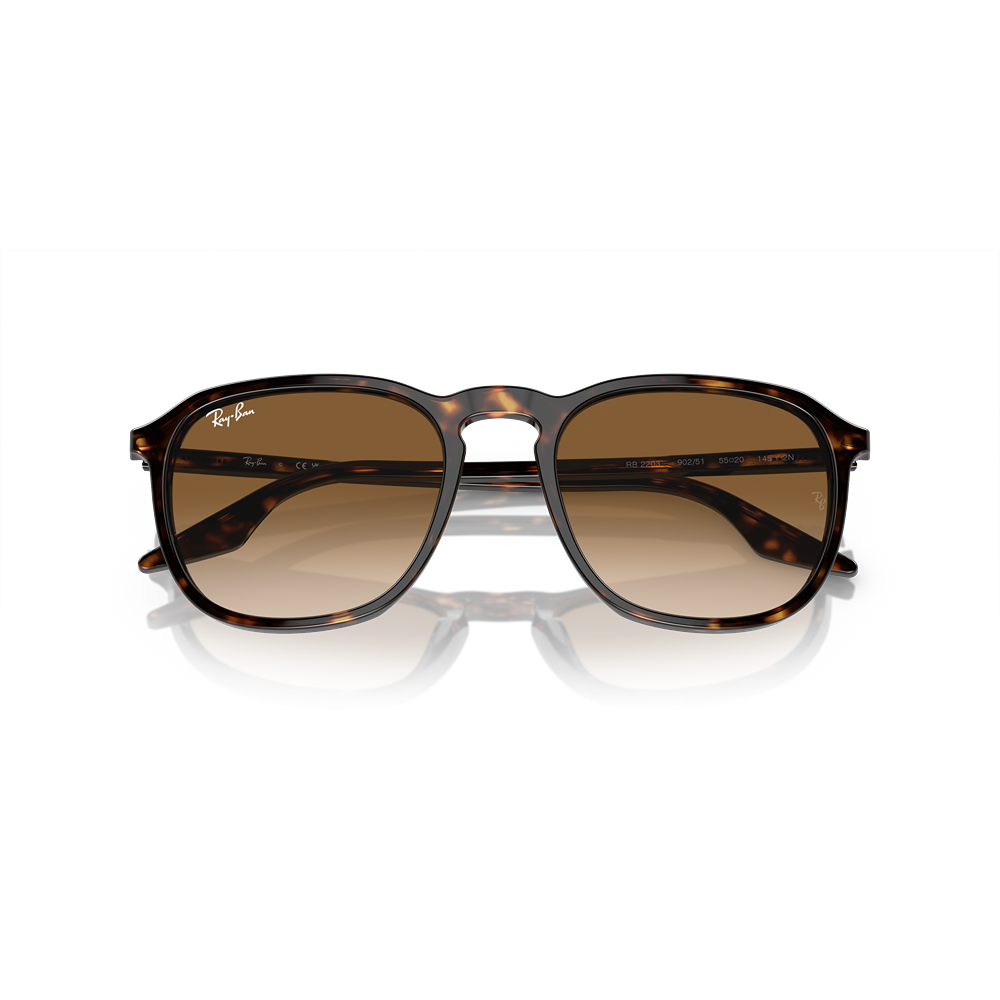 Occhiale da sole Ray-Ban RB2203 col. 902/51