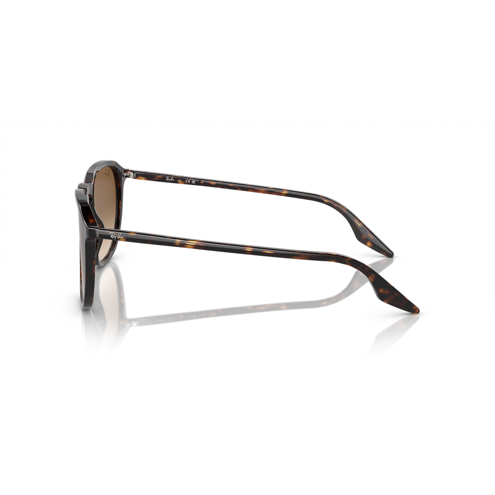 Occhiale da sole Ray-Ban RB2203 col. 902/51