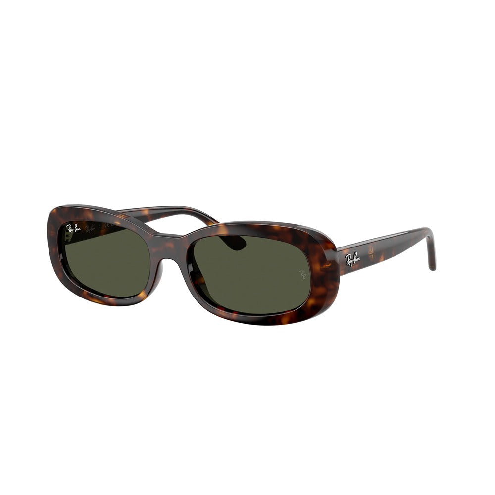 Ray-Ban sunglasses RB2221 col. 902/31