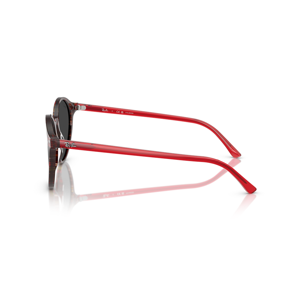 Occhiale da sole Ray-Ban RB2230 Bernard col. 141948