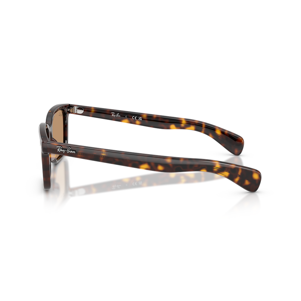 Ray-Ban sunglasses Brunel RB2234 col. 902/53