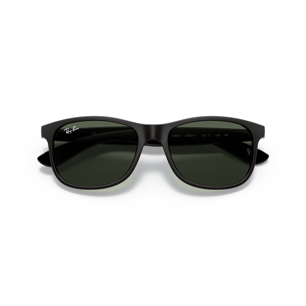 Ray-Ban sunglasses Andy RB4202 col. 606971