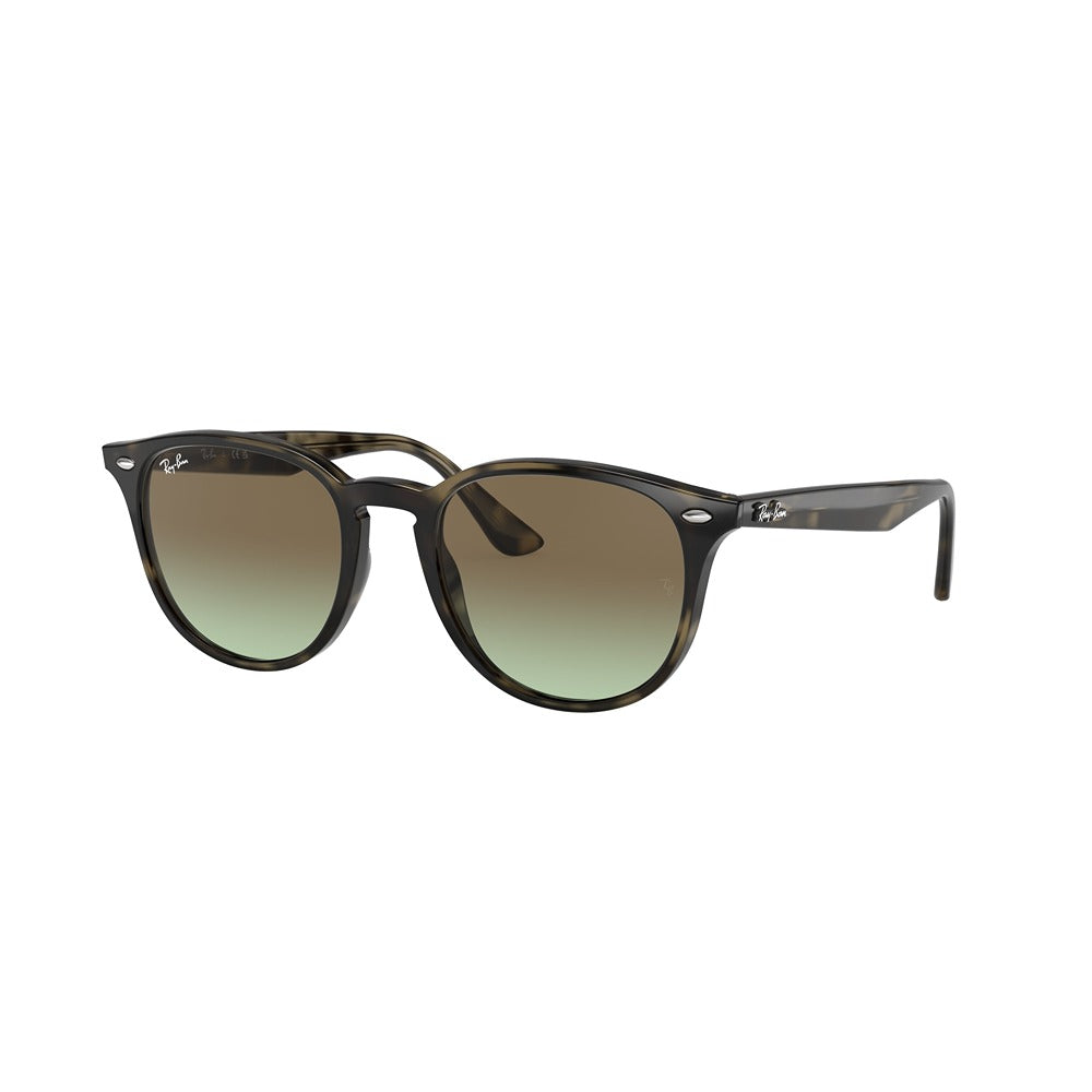 Occhiale da sole Ray-Ban RB4259 col. 731/E8