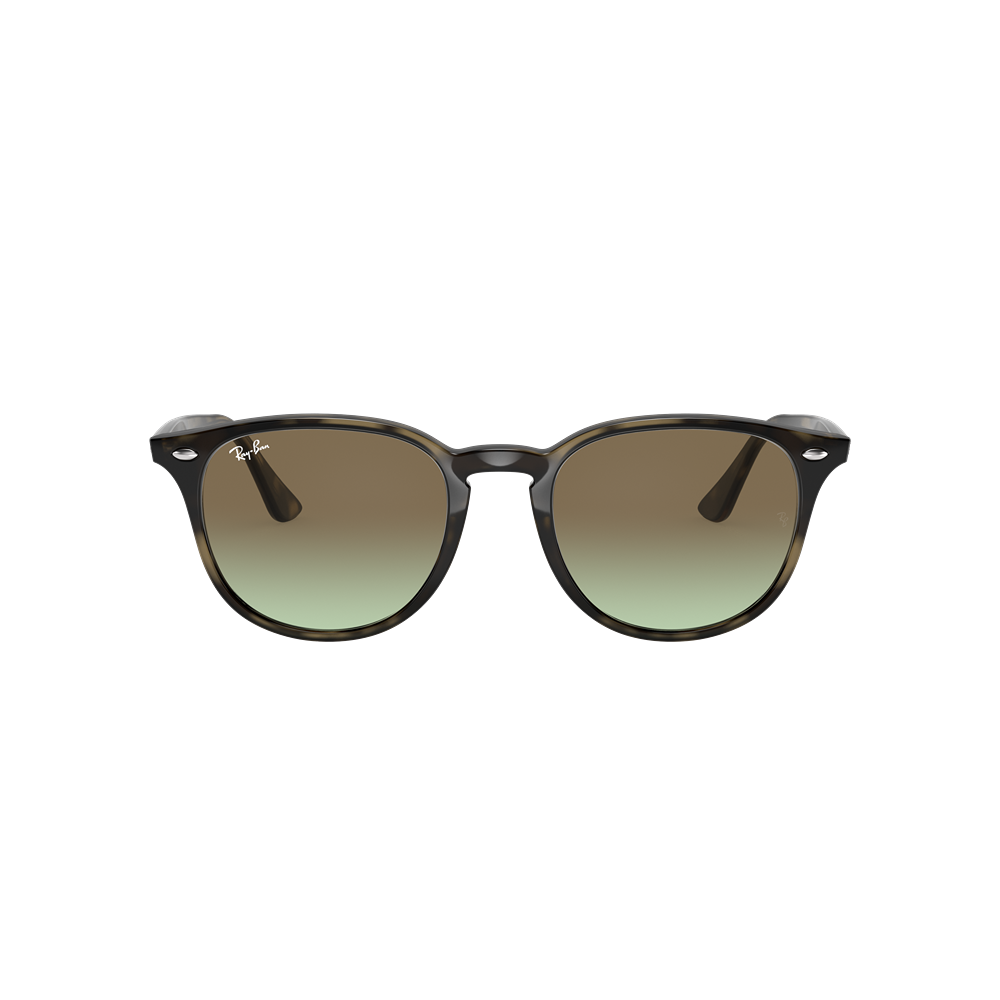 Occhiale da sole Ray-Ban RB4259 col. 731/E8