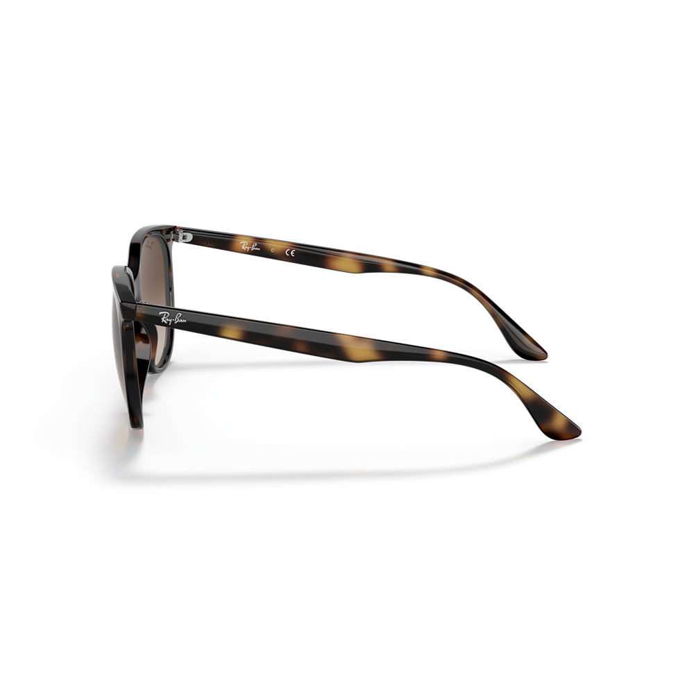 Occhiale da sole Ray-Ban RB4378 col. 710/13