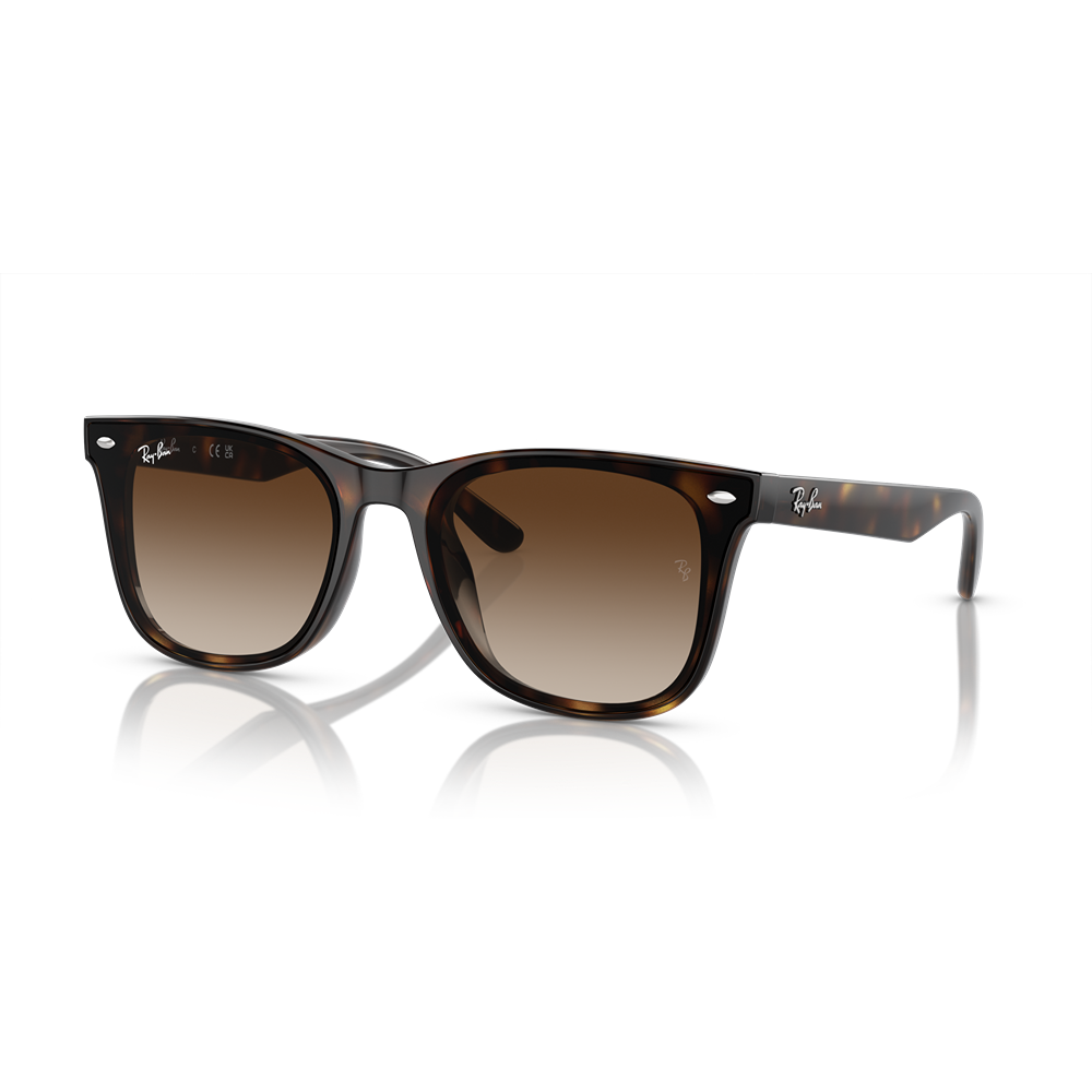 Ray-Ban sunglasses RB4420 col. 710/13