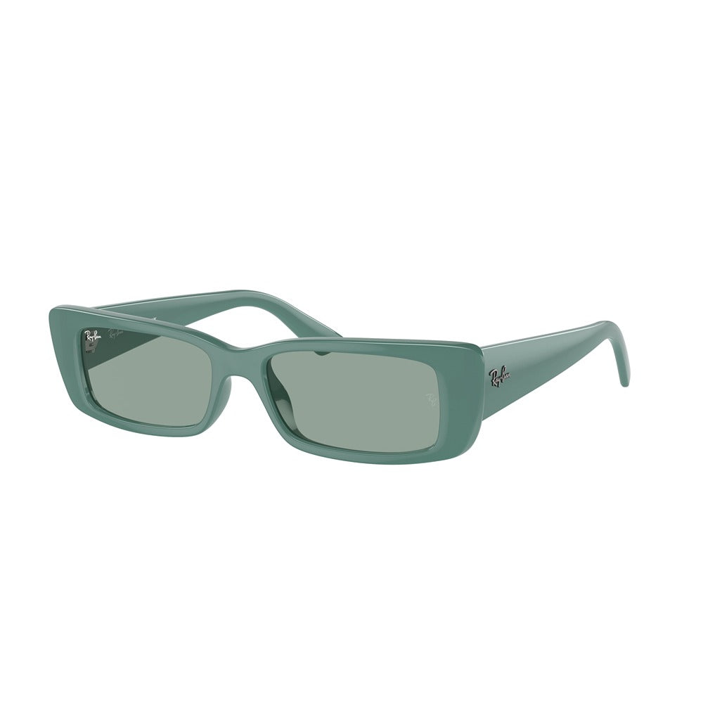 Occhiale da sole Ray-Ban Teru RB4425 col. 676282
