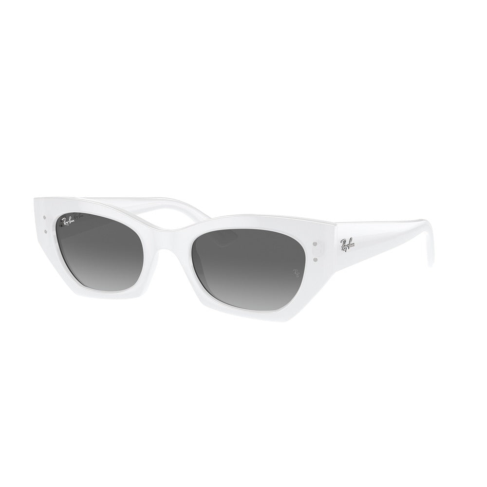 Occhiale da sole Ray-Ban Zena RB4430 col. 675911