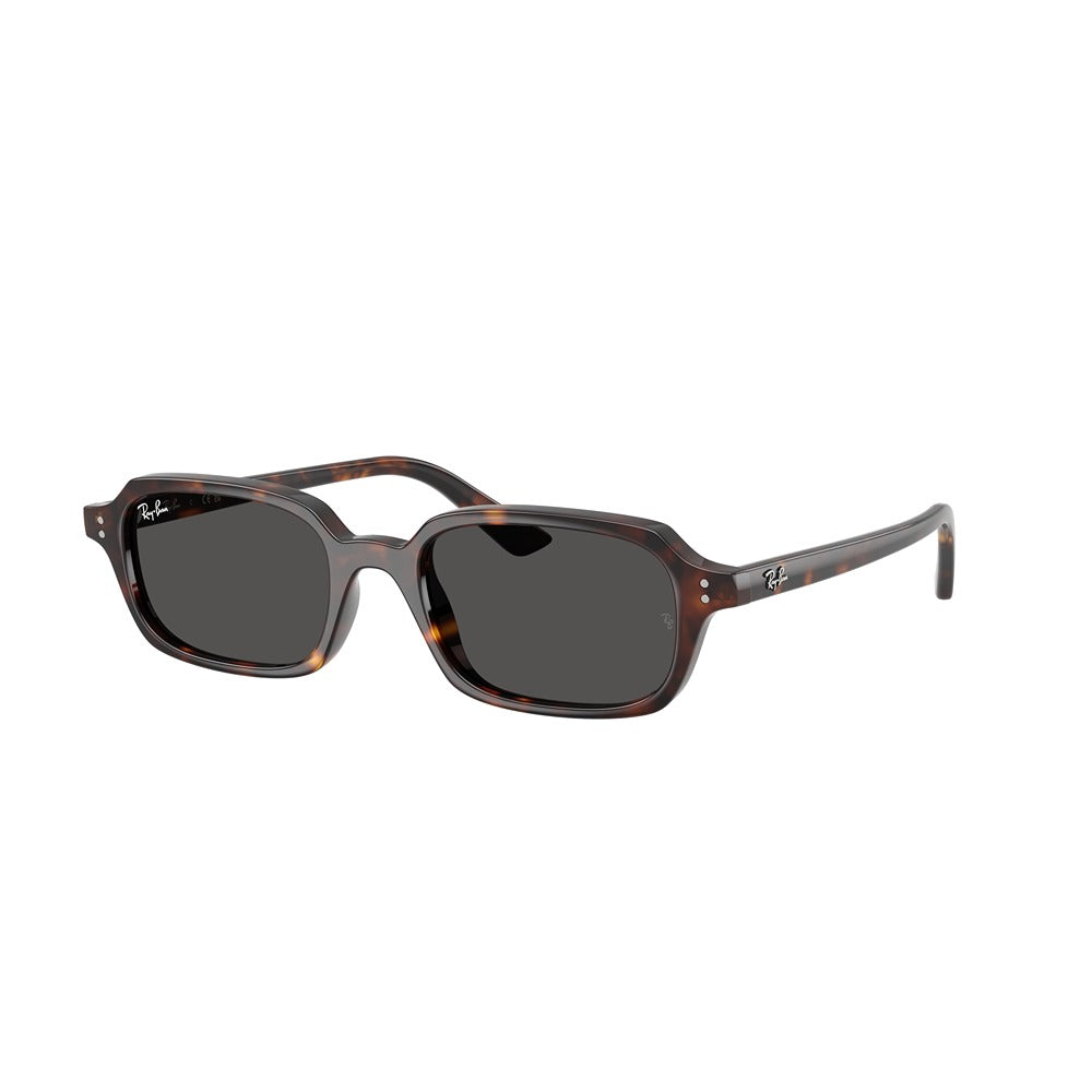 Ray-Ban sunglasses Zuri RB4455 col. 135987
