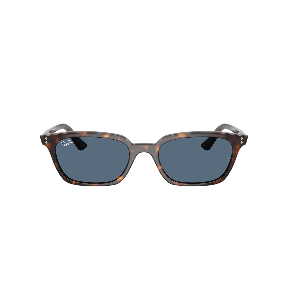Occhiale da sole Ray-Ban Zaya RB4456 col. 135980