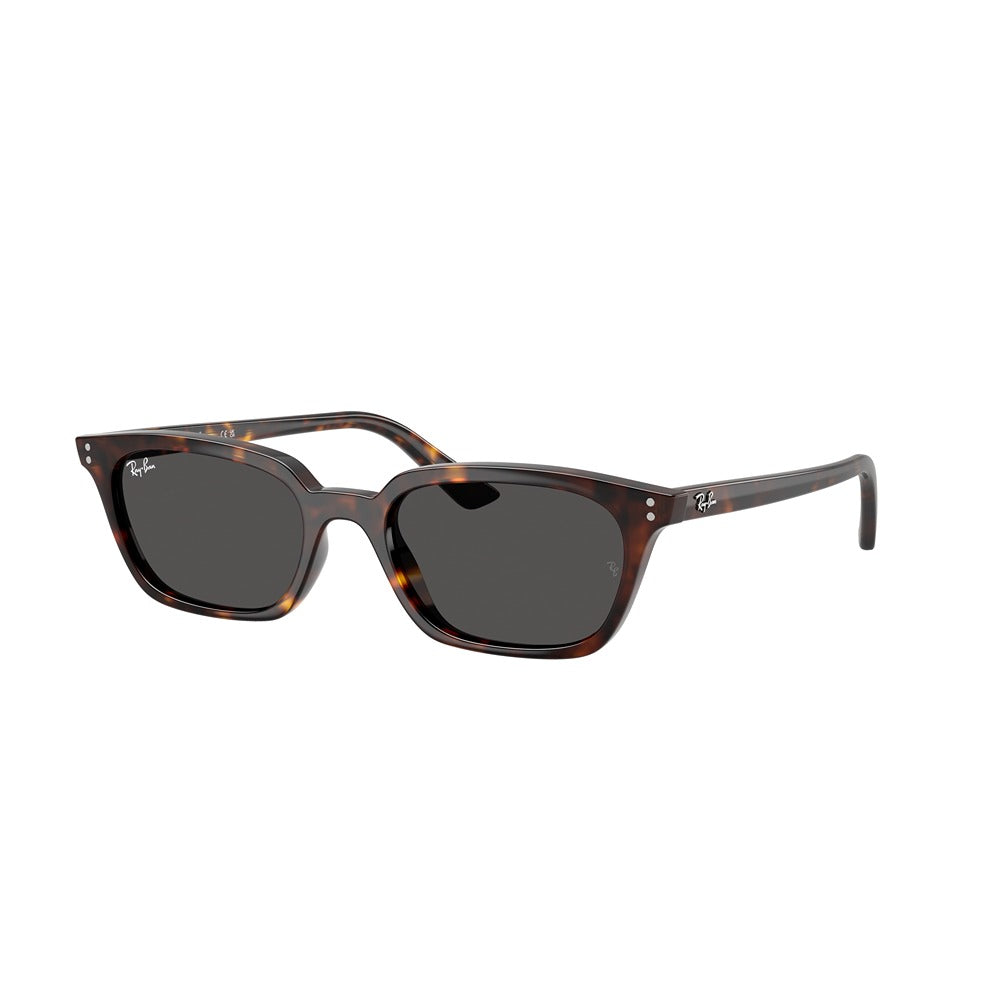 Occhiale da sole Ray-Ban Zaya RB4456 col. 135987
