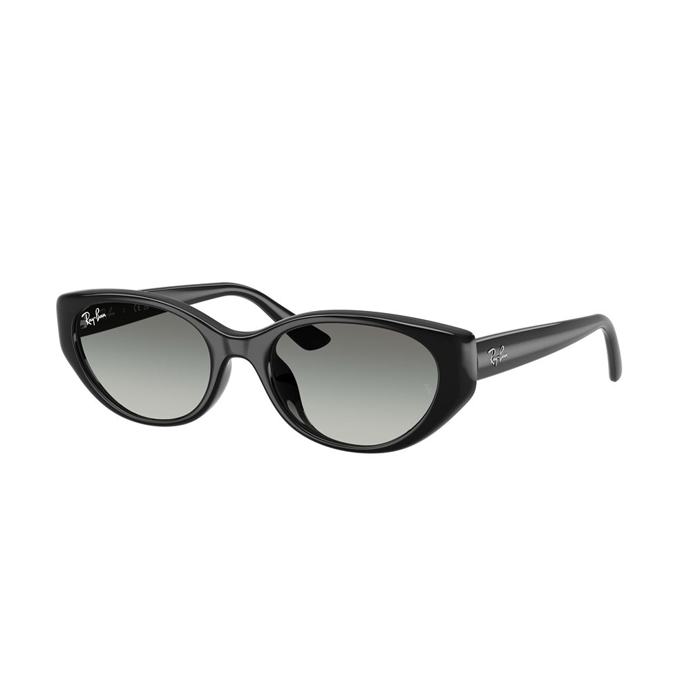 Occhiale da sole Ray-Ban RB4457D col. 667711
