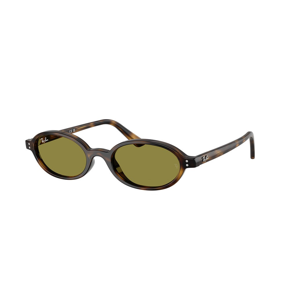 Ray-Ban sunglasses RB4472 col. 1359/2