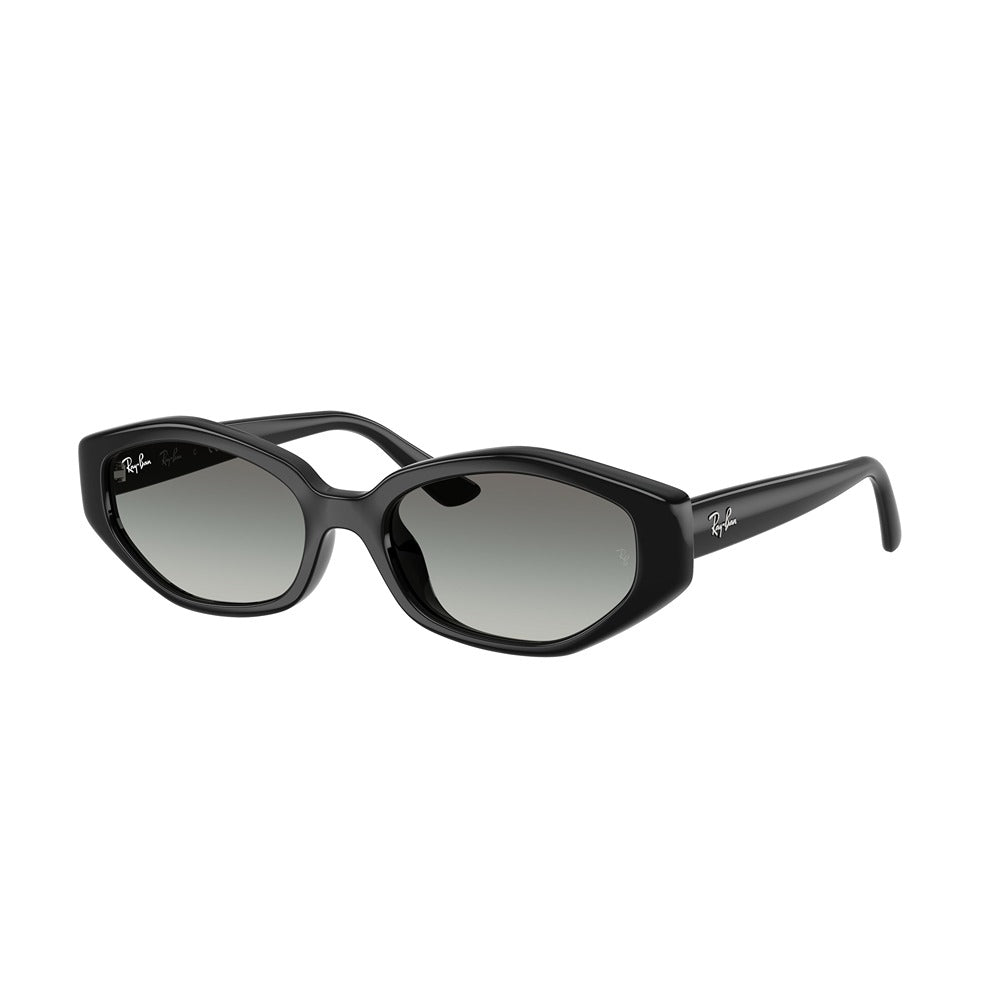 Occhiale da sole Ray-Ban RB4473D col. 667711
