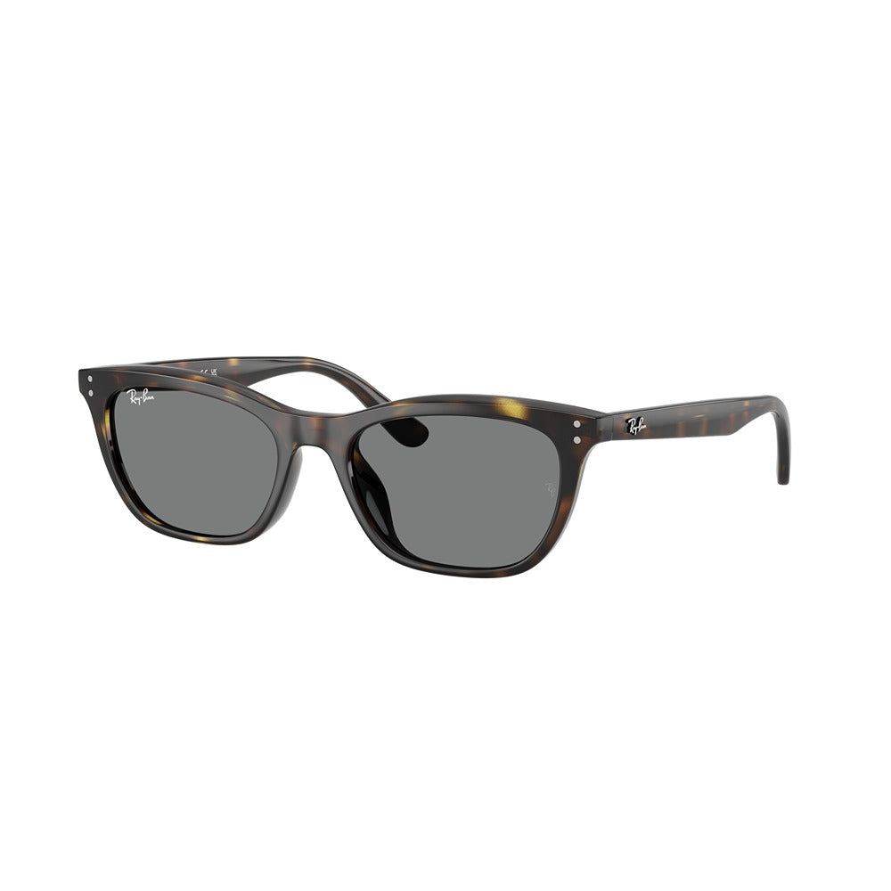 Ray-Ban sunglasses RB4474D col. 710/87