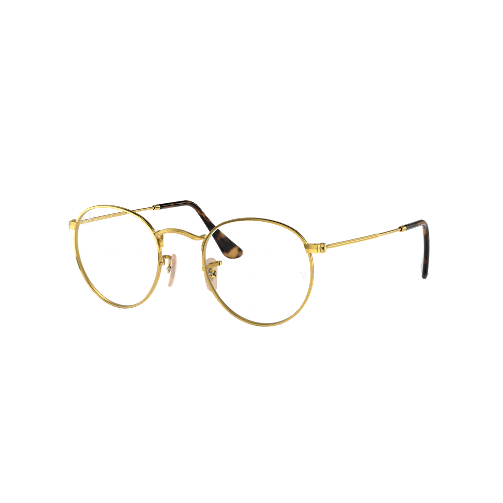 Ray-Ban eyewear Round Metal RX3447V col. 2500