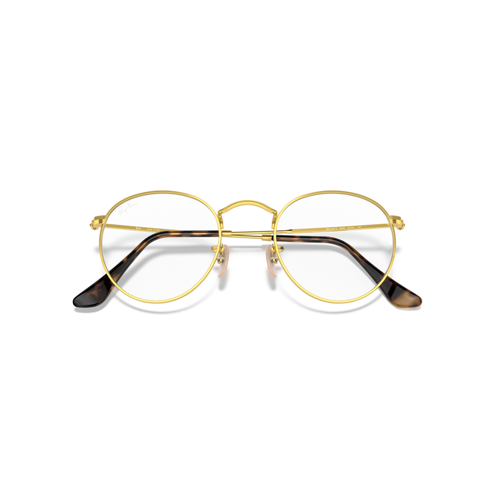 Ray-Ban eyewear Round Metal RX3447V col. 2500
