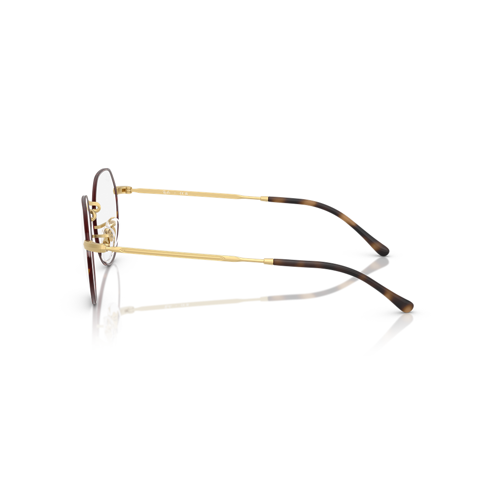 Ray-Ban eyewear Jack RX6465 col. 3188