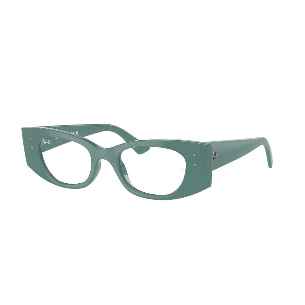 Ray-Ban eyewear RX7327 col. 8345